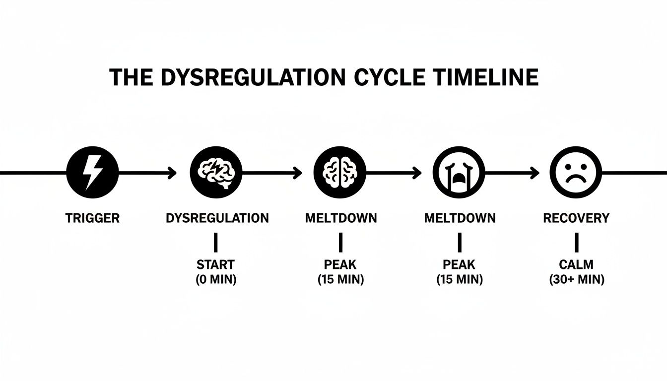 Timeline illustrating the emotional dysregulation cycle with stages: trigger, dysregulation, meltdown, and recovery.