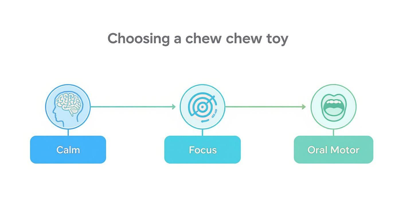 Diagram showing how choosing a chew toy can promote calm, focus, and oral motor skills.