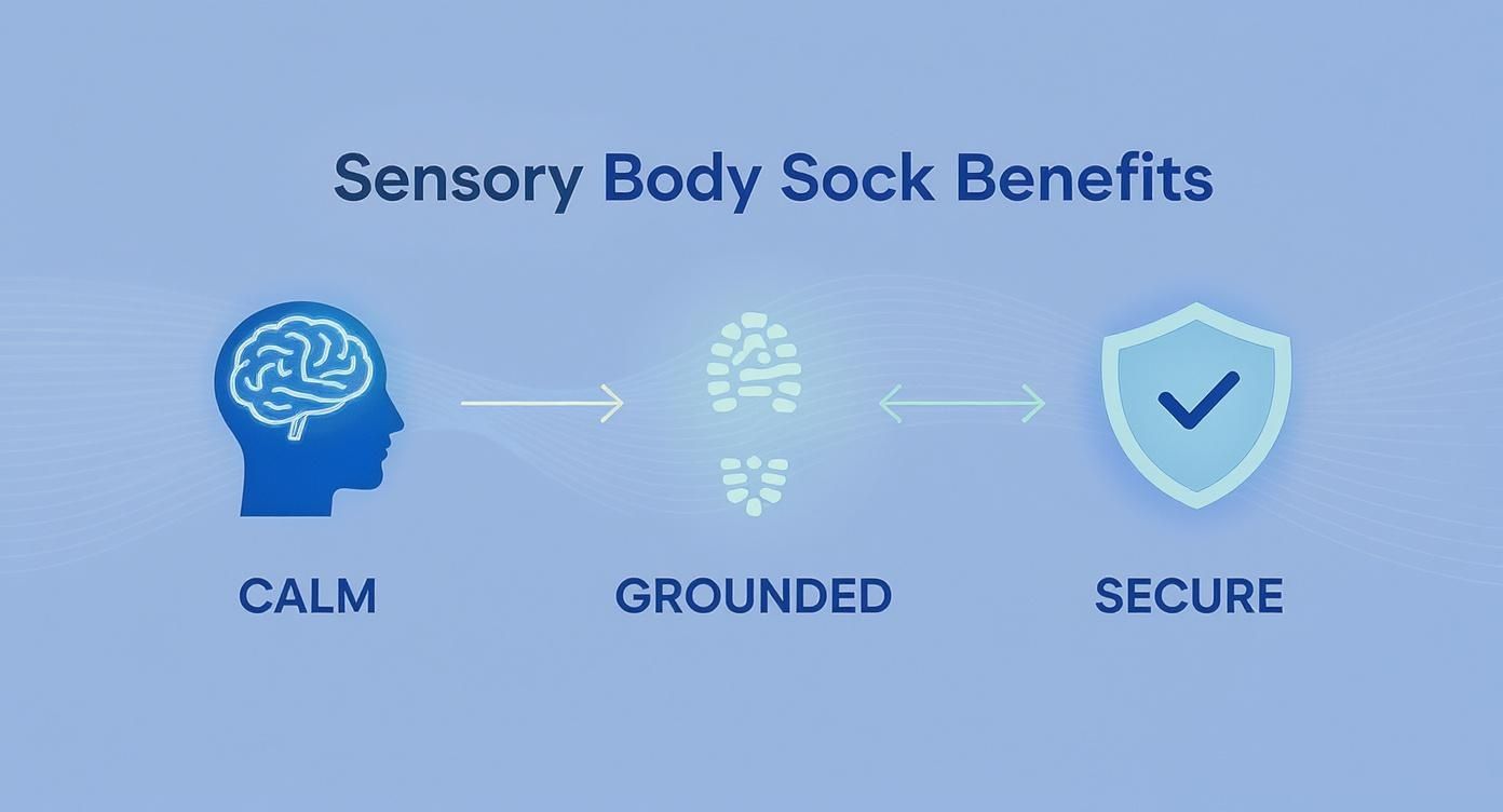 Infographic showing sensory body sock benefits: calm (brain), grounded (footprint), and secure (shield with checkmark).