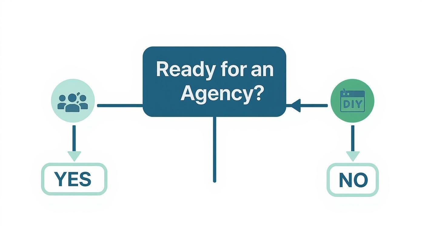 Infographic about google display advertising companies