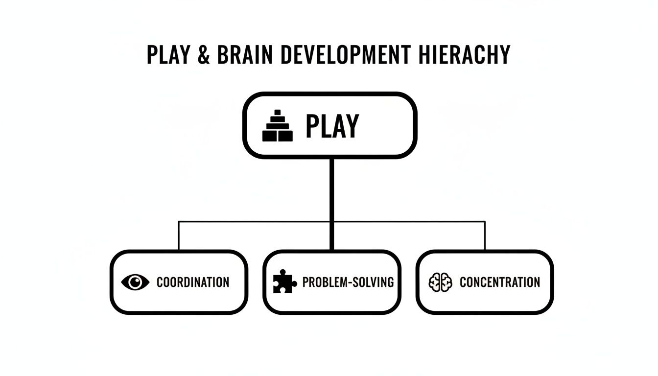 A diagram illustrating the hierarchy of play and its benefits for brain development, including coordination, problem-solving, and concentration.