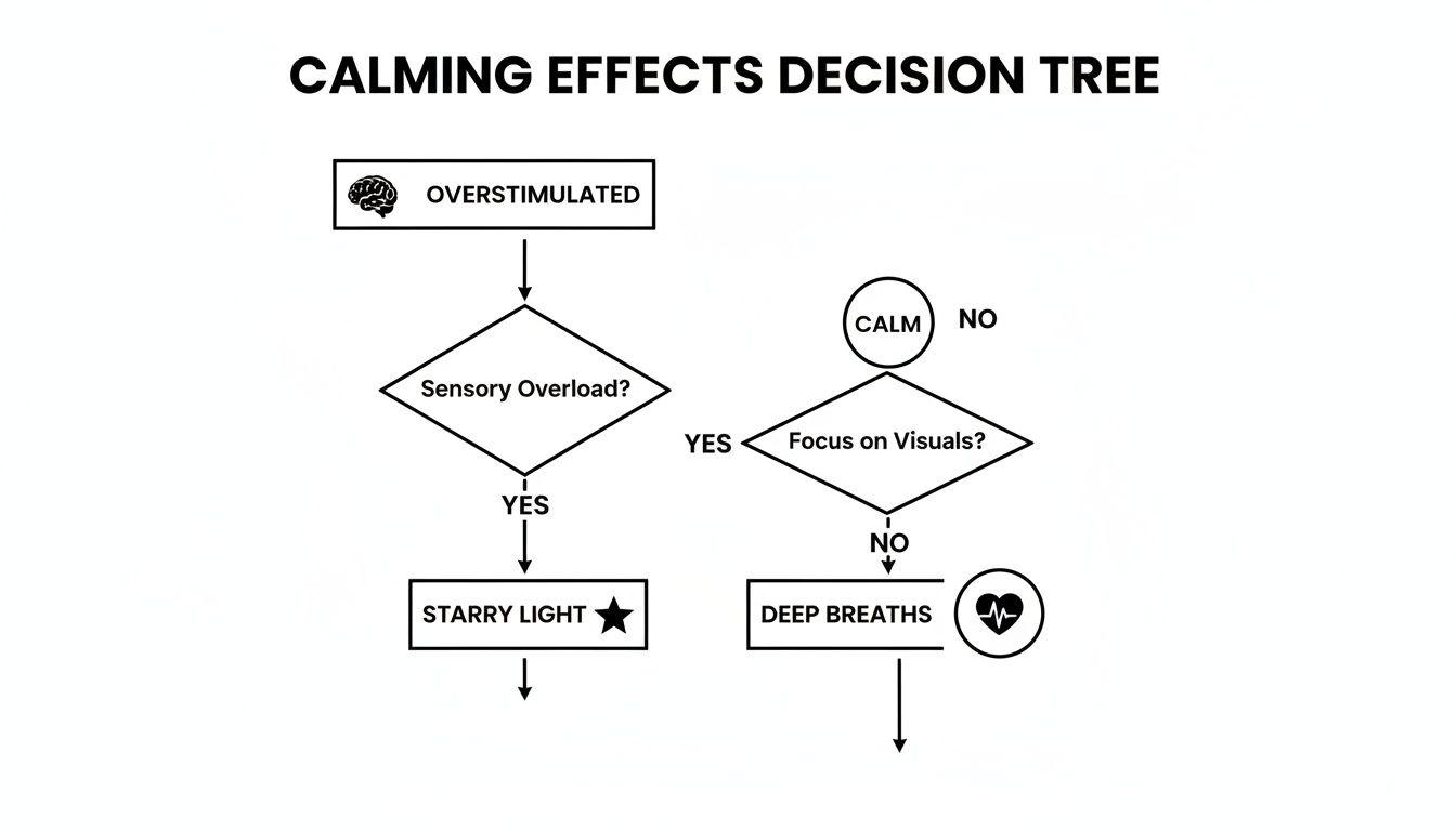 A calming effects decision tree flowchart, guiding actions based on being overstimulated or needing calm.