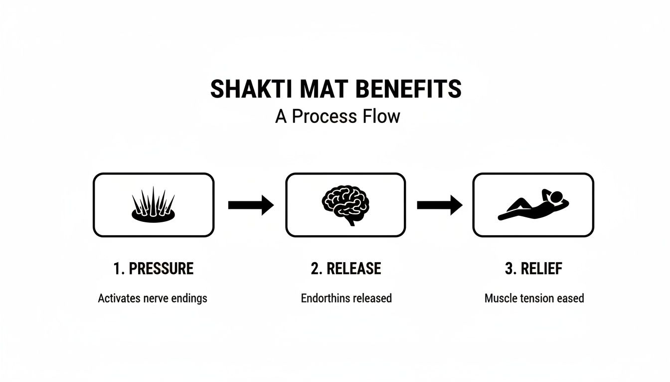 Diagram illustrating Shakti mat benefits: pressure activates nerves, leading to endorphin release and muscle relief.