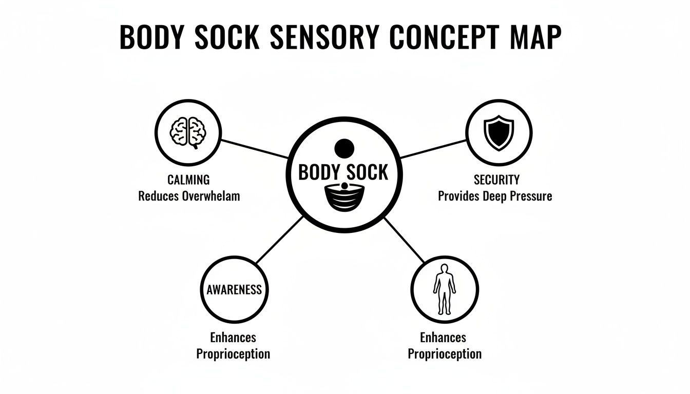 A concept map detailing the sensory benefits of a body sock, including calming, security, and enhanced proprioception.