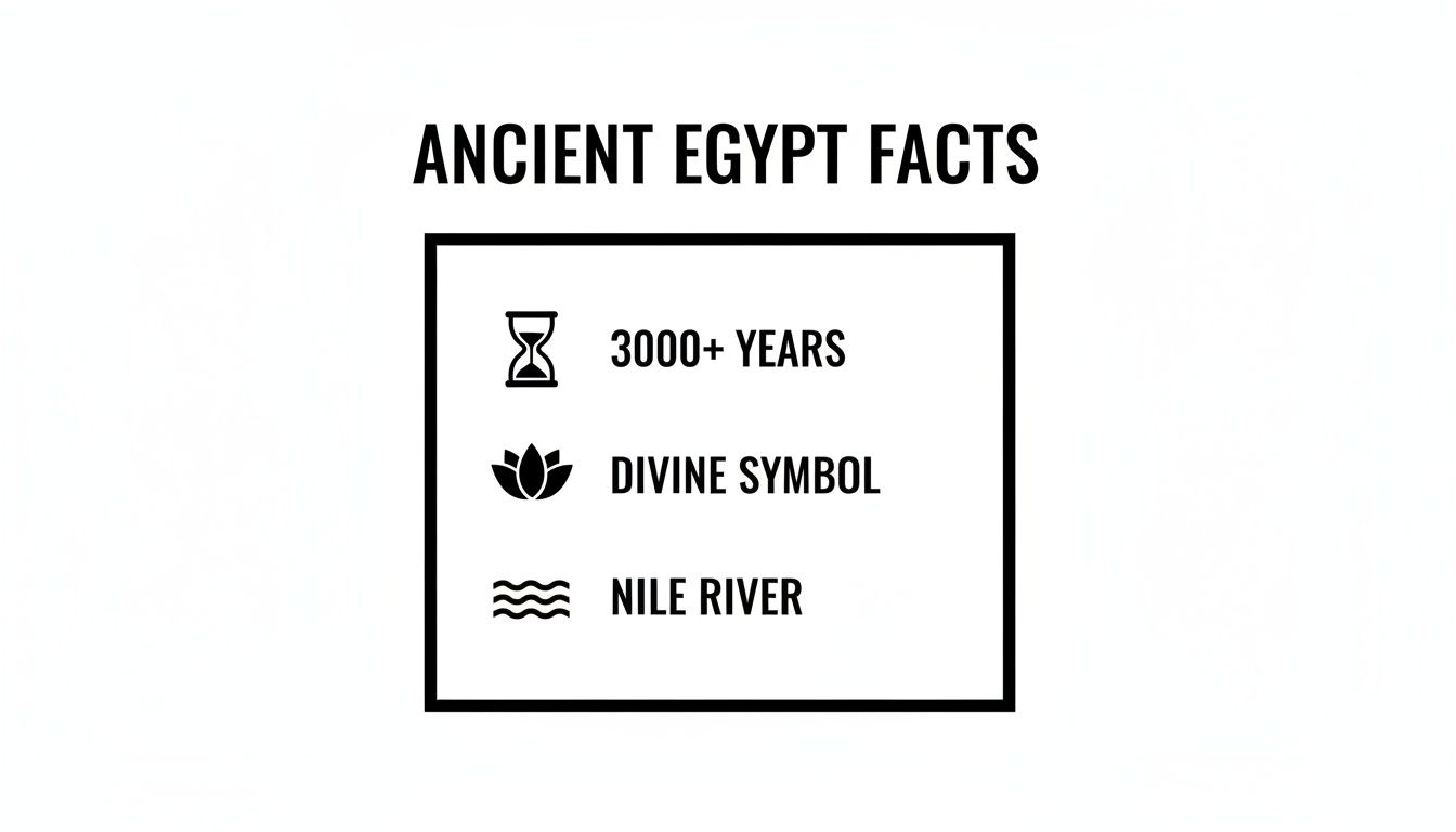 Ancient Egypt facts with icons for 3000+ years, divine lotus symbol, and Nile River.