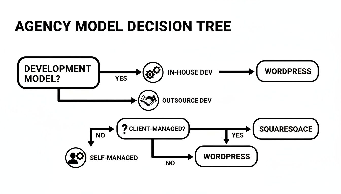 Agency model decision tree showing paths to WordPress or Squarespace based on development and management.