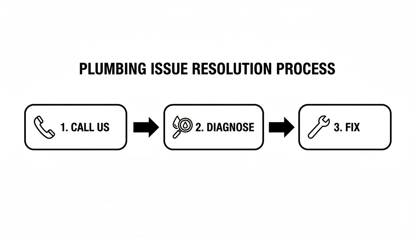 A three-step flowchart shows the plumbing issue resolution process: 1. Call Us, 2. Diagnose, 3. Fix.