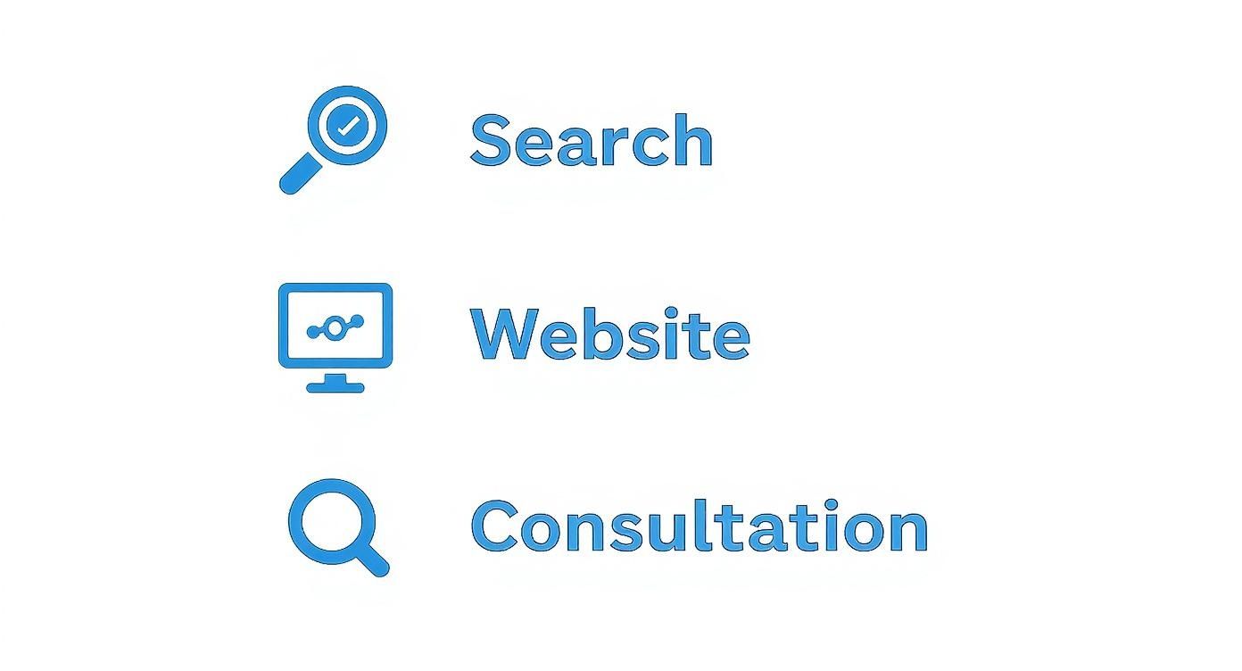 Three blue icons and text illustrating 'Search', 'Website', and 'Consultation' services for business.