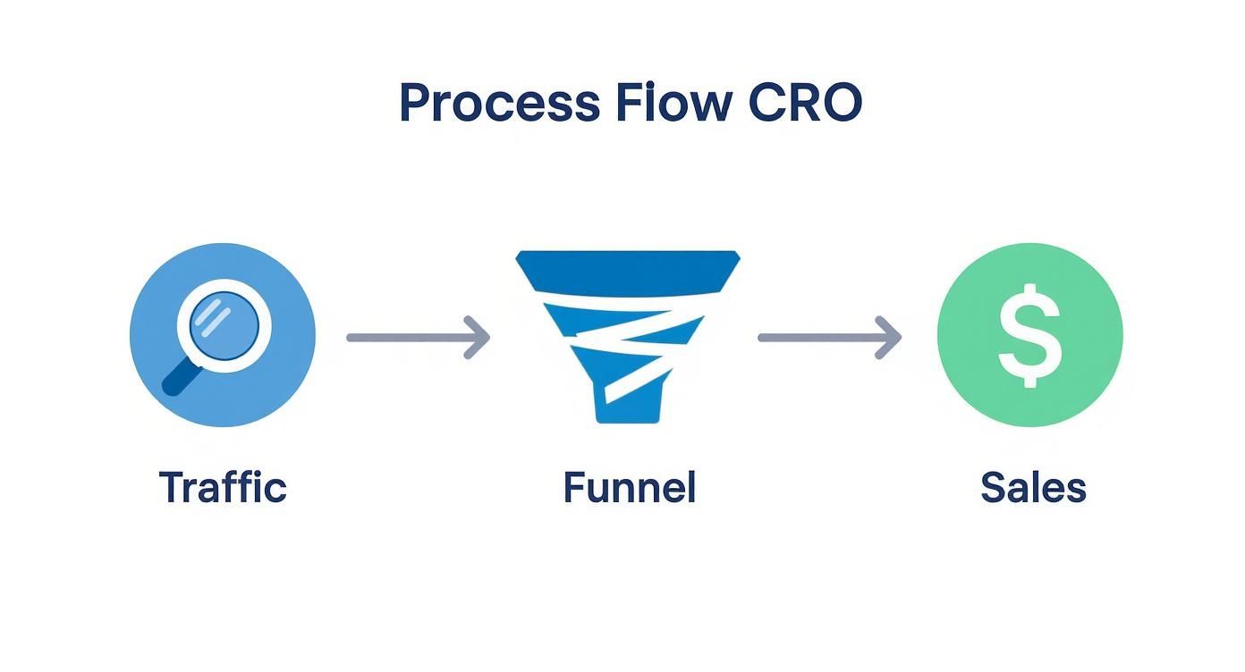 Infographic about conversion rate optimisation services