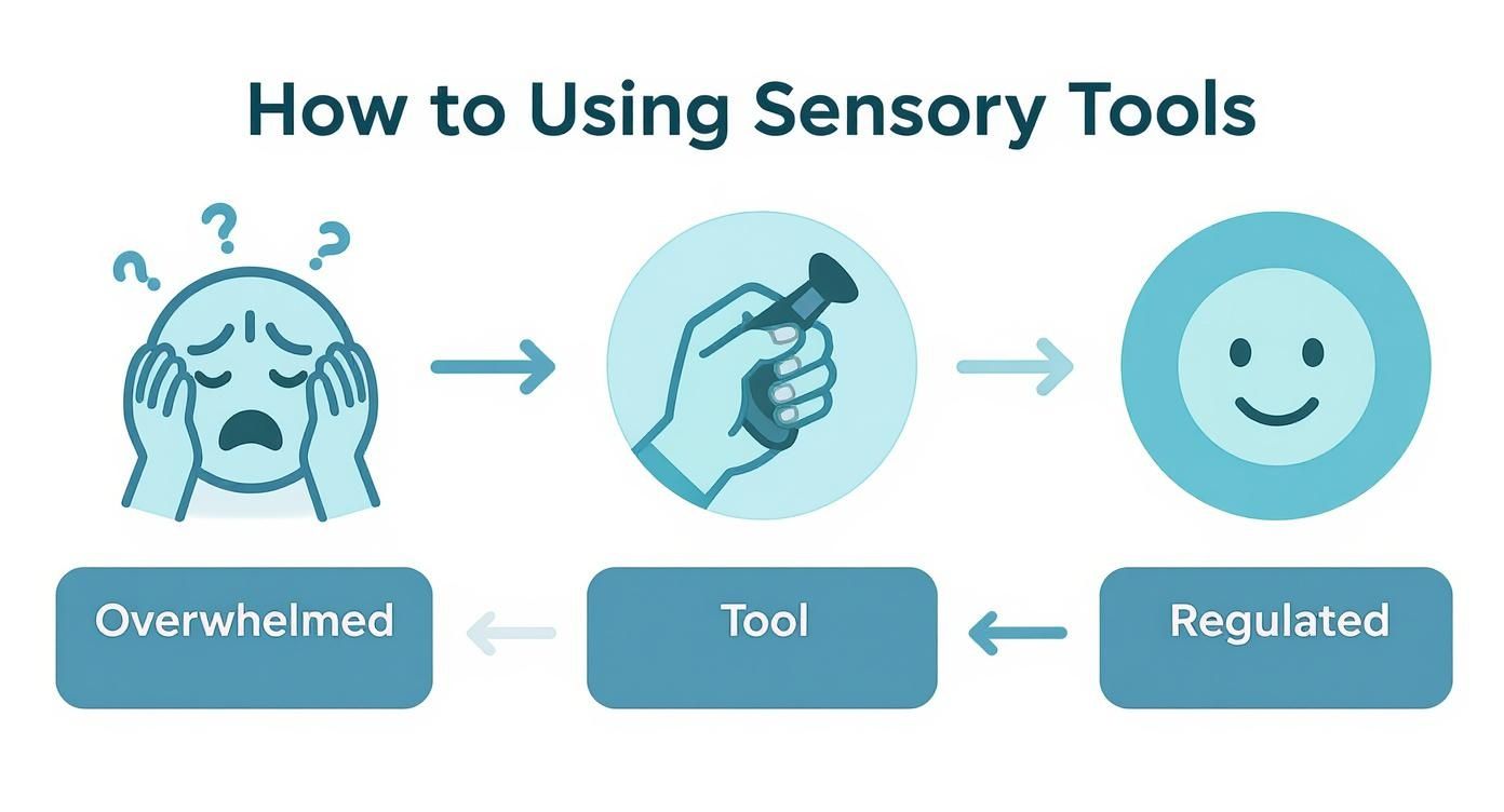 Diagram showing progression from overwhelmed state through sensory tool use to regulated emotional state
