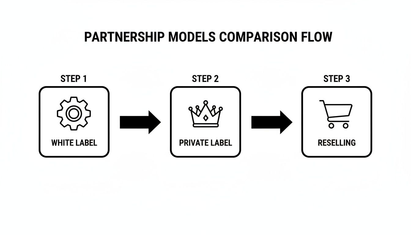 Flow chart illustrating partnership models comparison: White Label with a gear icon, Private Label with a crown, and Reselling with a shopping cart.
