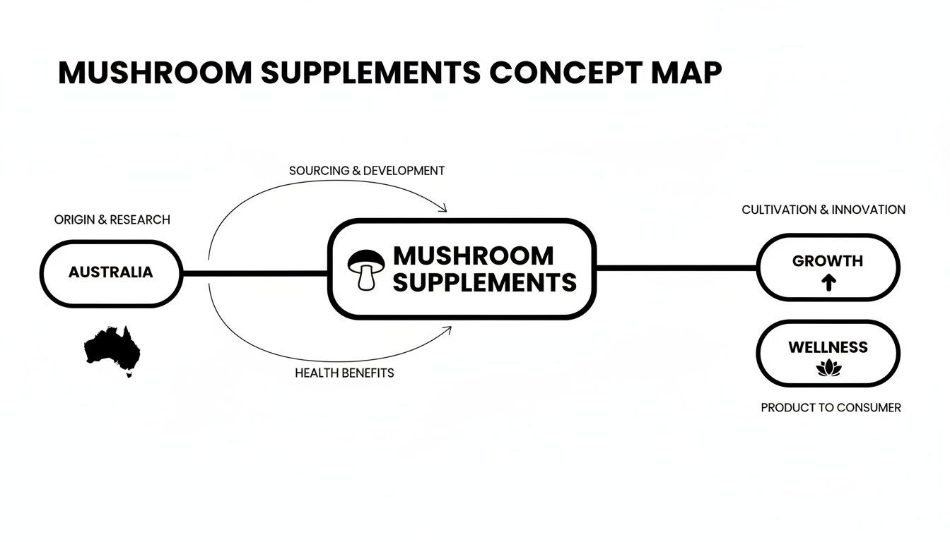 Mushroom supplements concept map detailing origin, development, growth, and wellness journey from Australia.