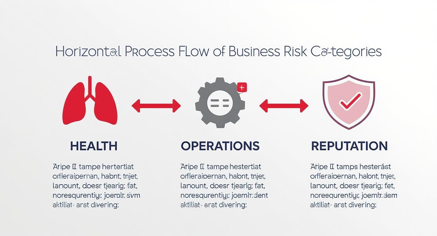 A horizontal process flow showing business risk categories: Health, Operations, and Reputation, with icons and text.