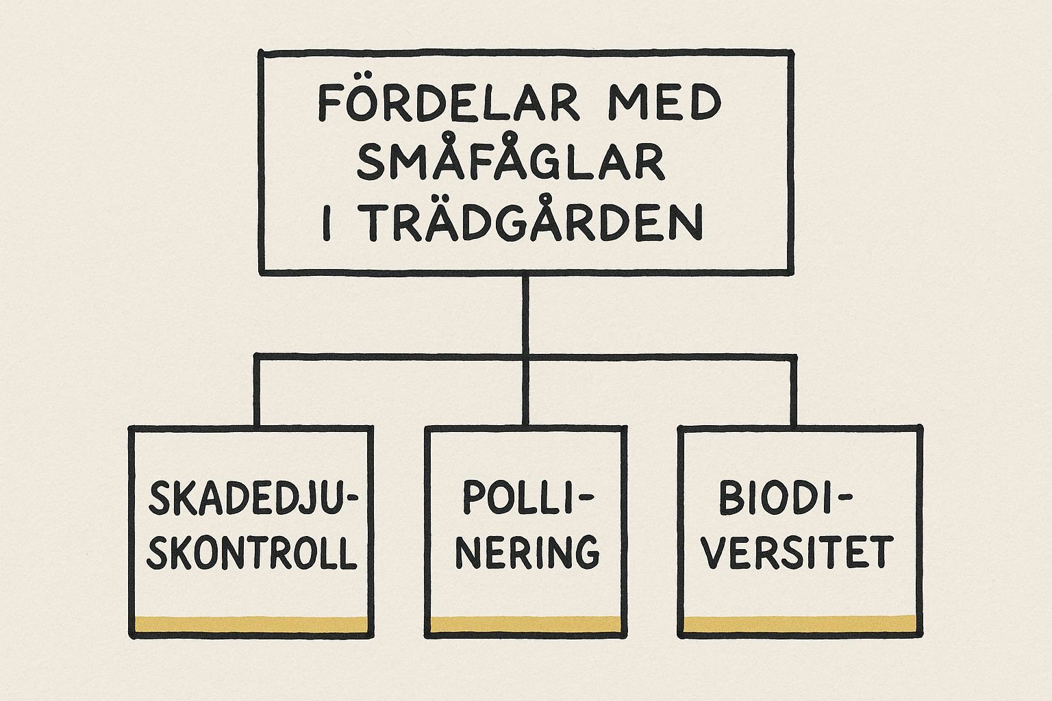 Infographic about småfåglar i trädgården
