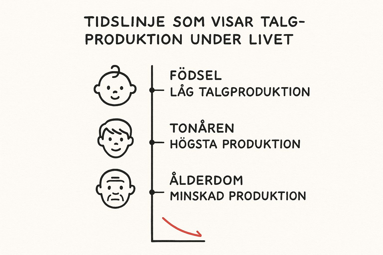 Infographic about vad är talg