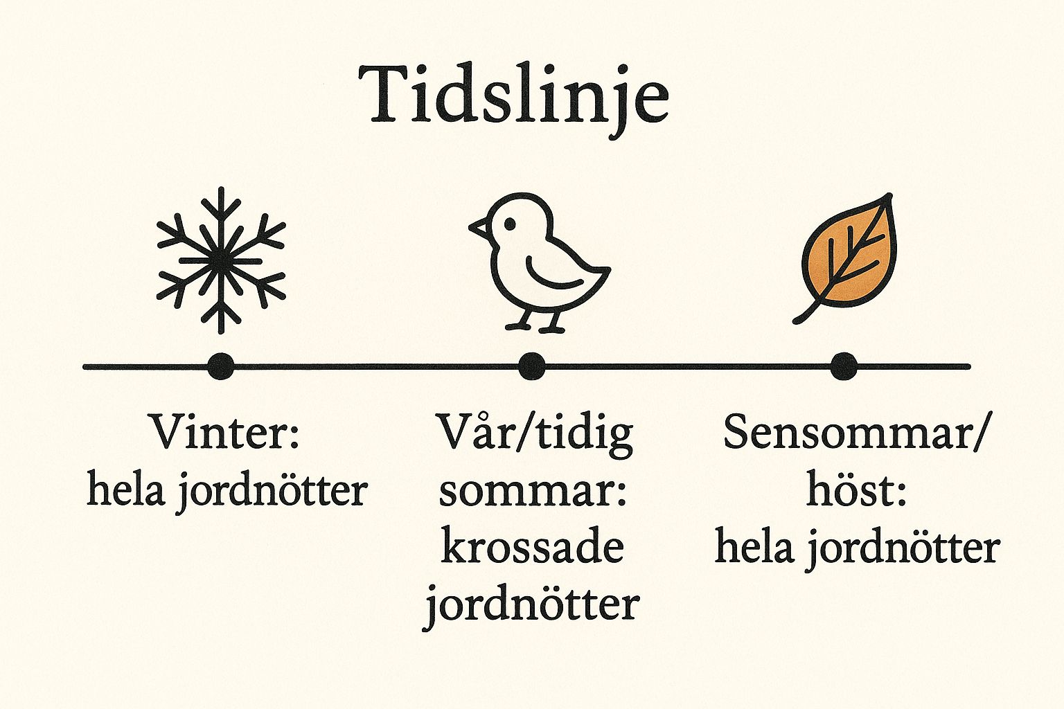 Infografikk som viser nøkkeldata om riktig sesongmessig timing for fôring med peanøtter