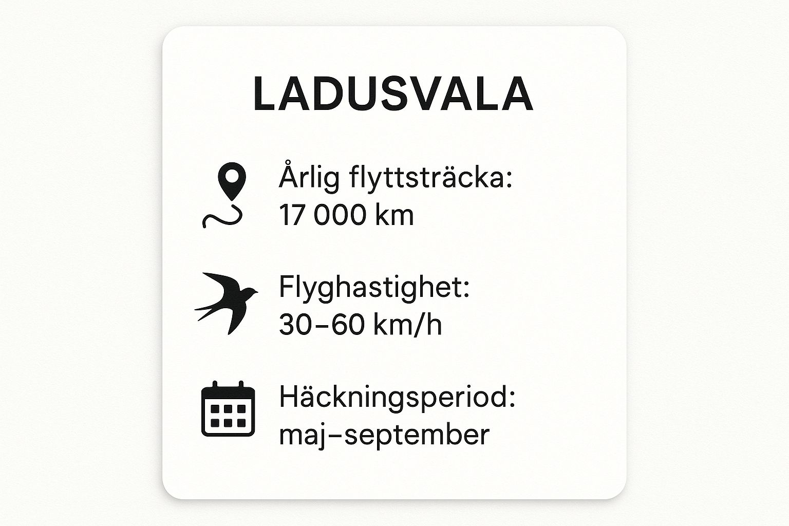Infographic showing key data about Ladusvala (Hirundo rustica) – Luftens Akrobat och Långdistanslöpare