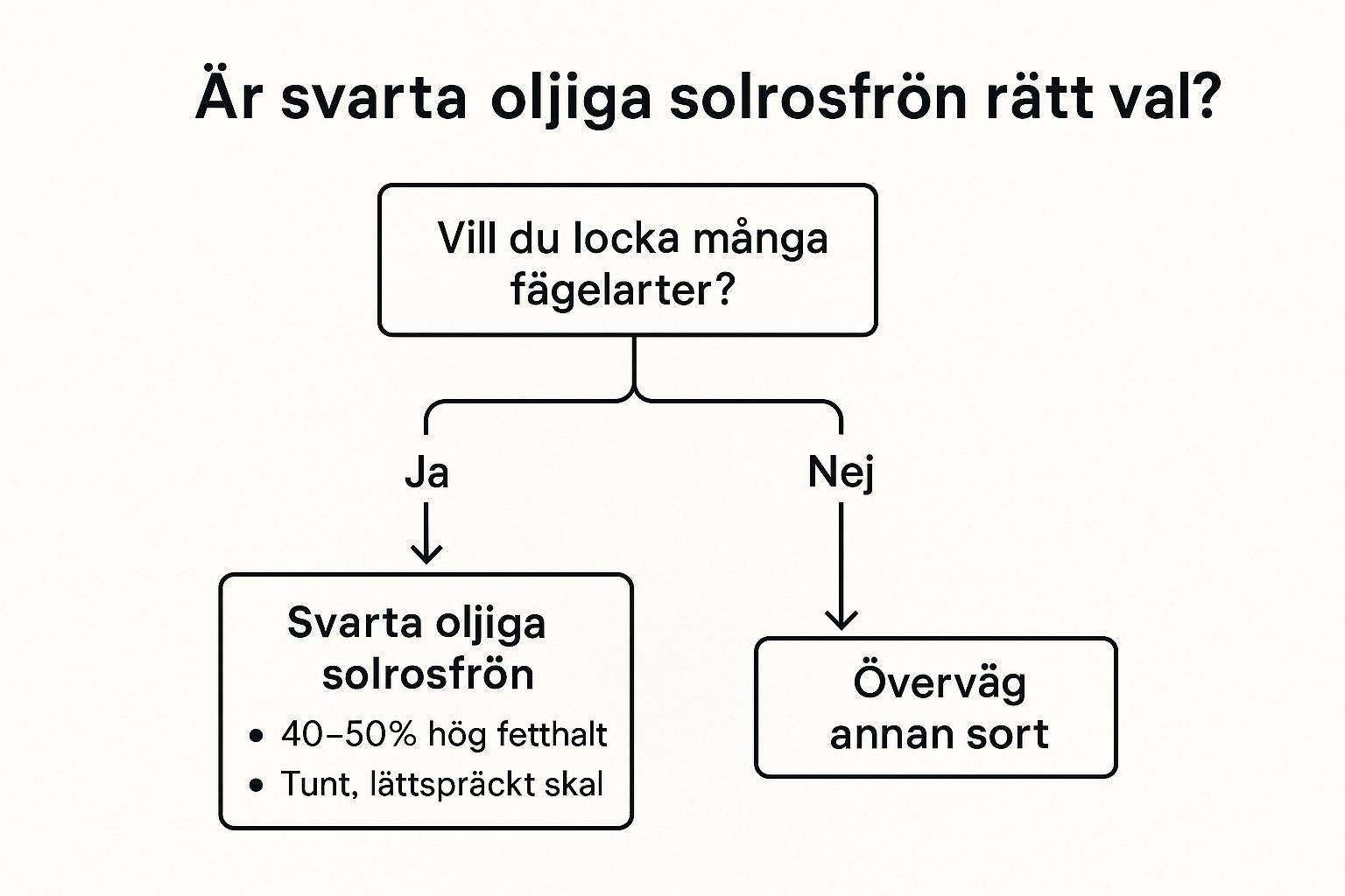 Infographic showing key data about Black Oil Sunflower Seeds (Svarta Oljiga Solrosfrön)