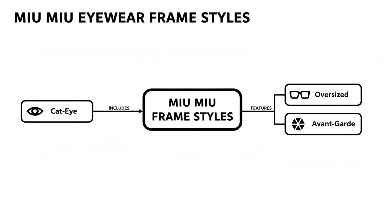 Un diagrama que ilustra los estilos de monturas de gafas Miu Miu, incluido el modelo Cat-Eye, y presenta diseños de gran tamaño y vanguardistas.