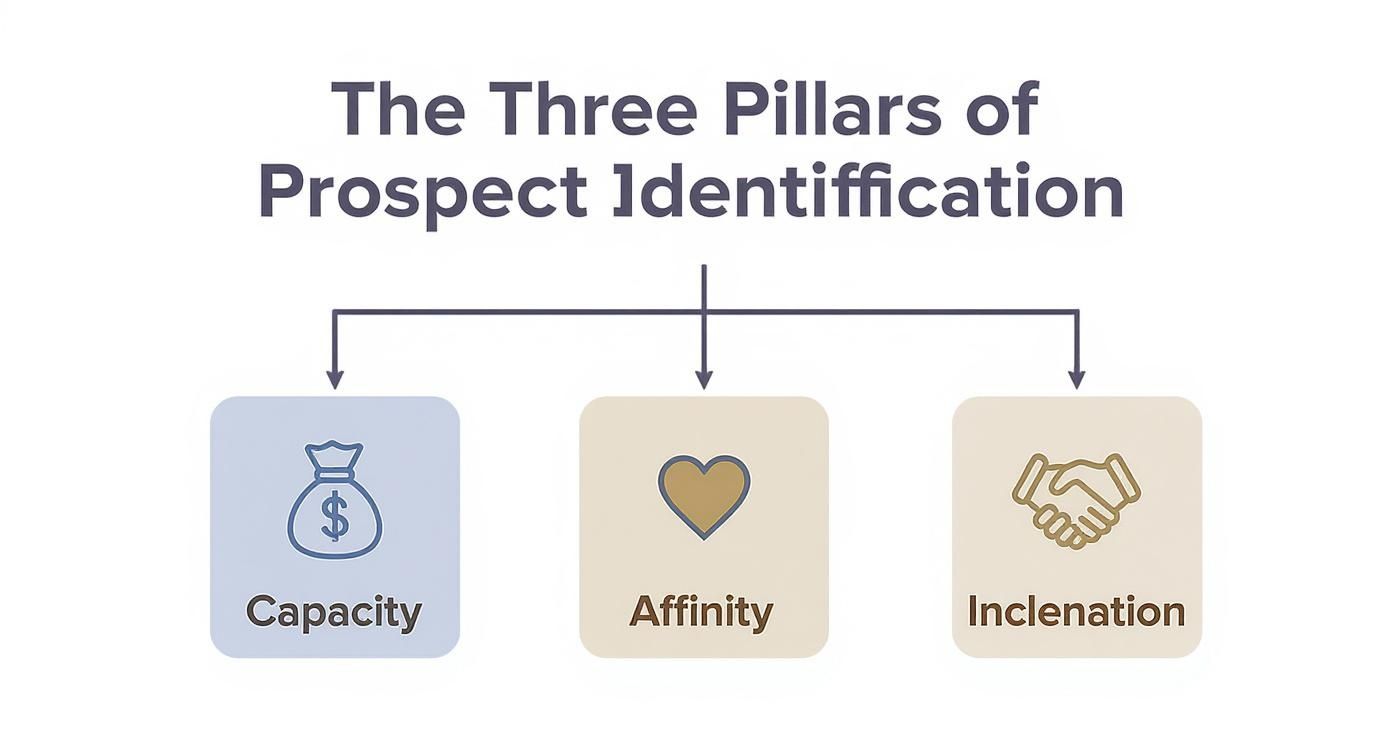 Infographic about what is prospect research