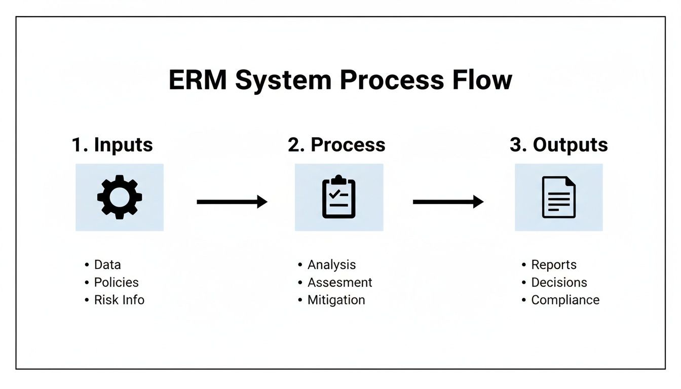 Diagram illustrating the ERM System Process Flow, showing inputs, process, and outputs with details.