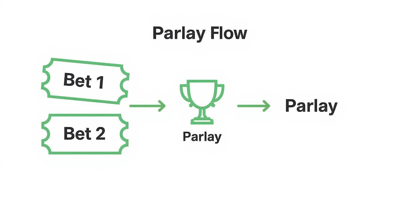 Infographic about parlay betting explained