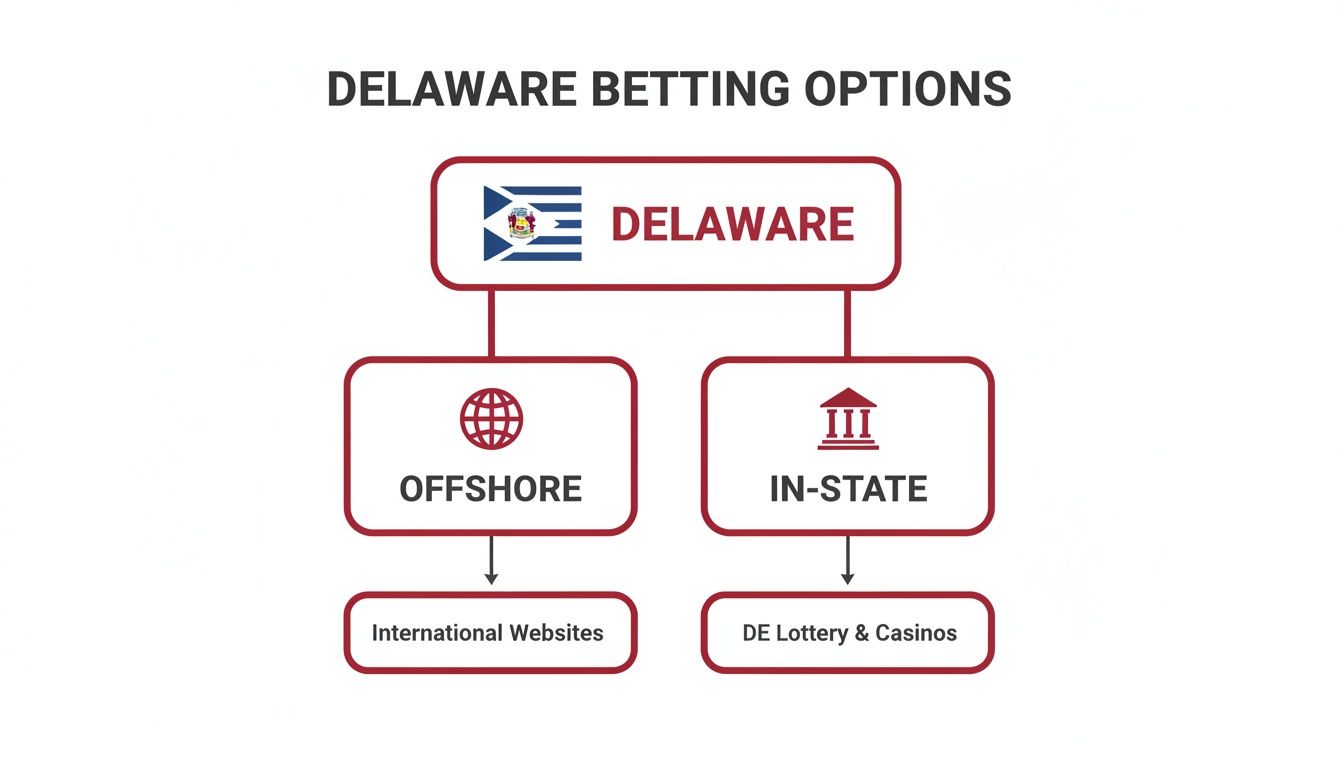 Delaware Sports Betting Online Your Ultimate Guide 1 Flowchart outlining Delaware betting options: offshore through international websites, and in-state via DE Lottery & Casinos.