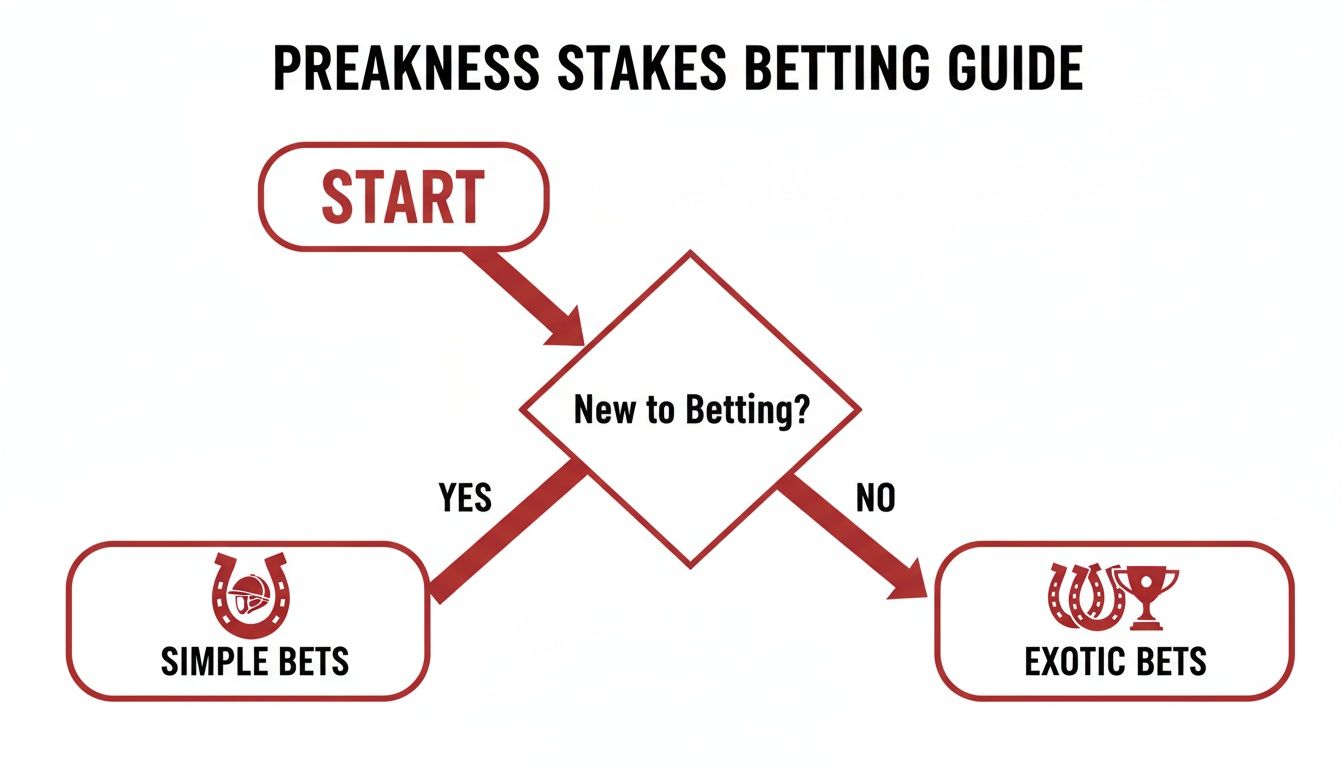 Flowchart guiding Preakness Stakes betting, directing new bettors to simple bets and experienced to exotic.
