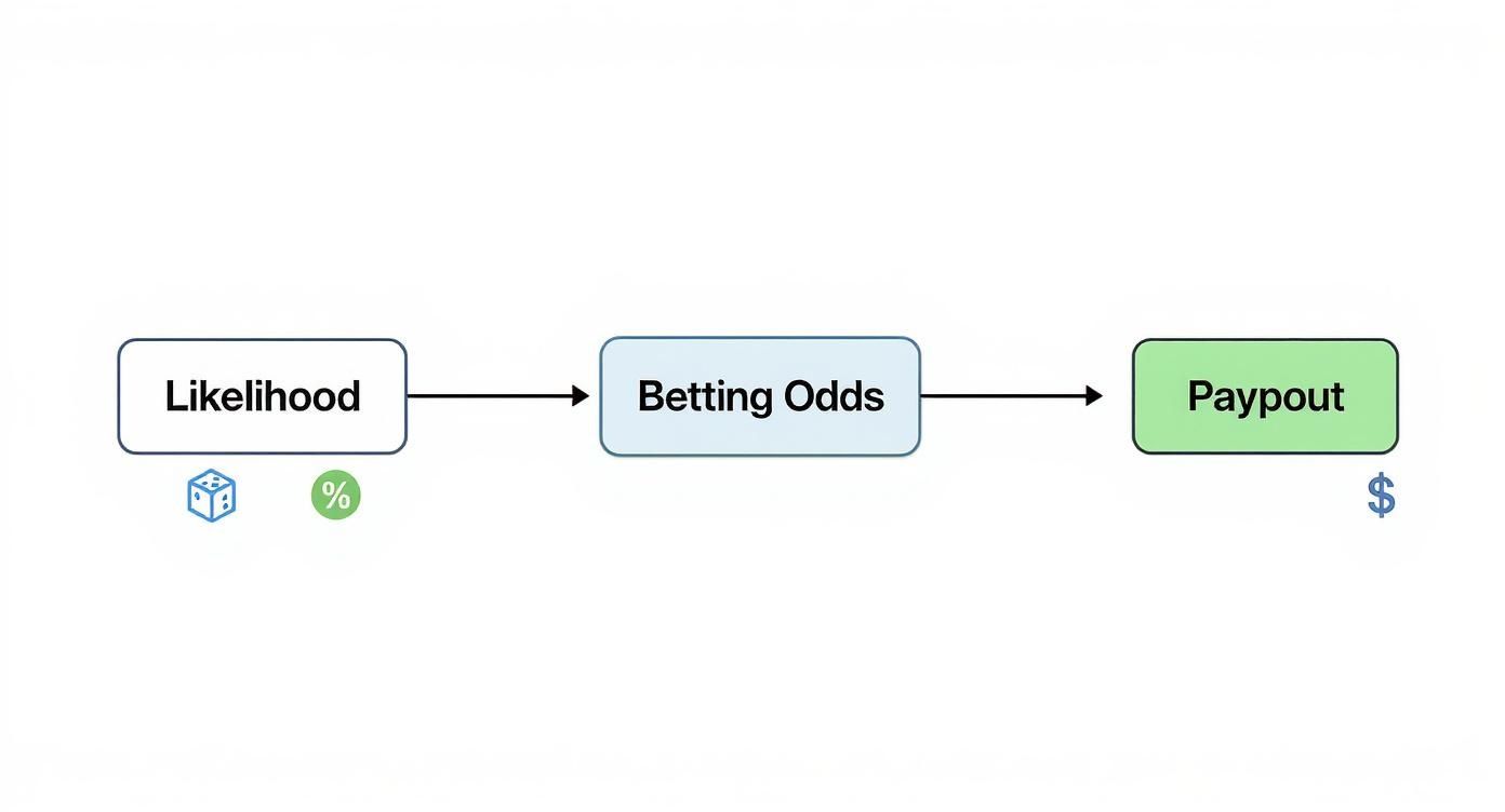 What Is Odds in Betting A Practical Guide 1 A flowchart showing the logical progression from Likelihood to Betting Odds and then to Payout.