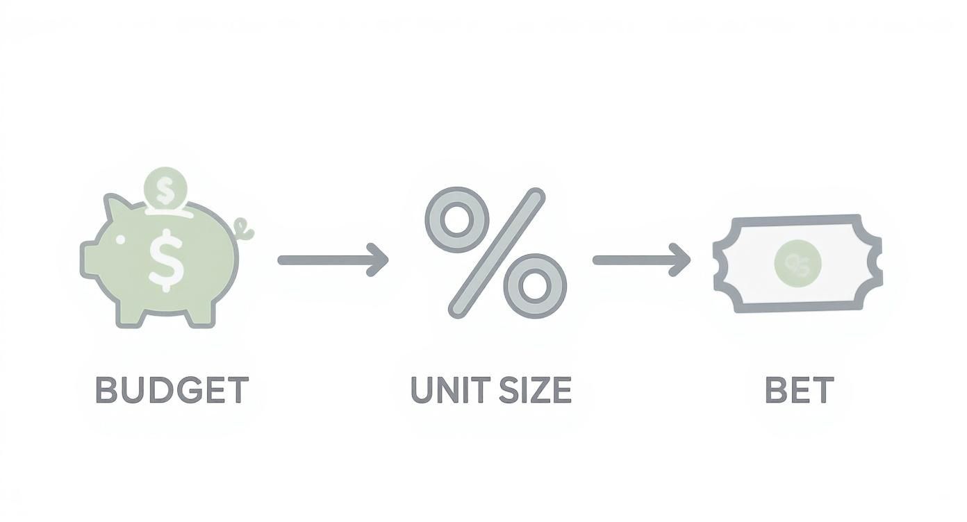 An infographic showing the process flow of bankroll management with icons for budget, unit size, and placing a bet.