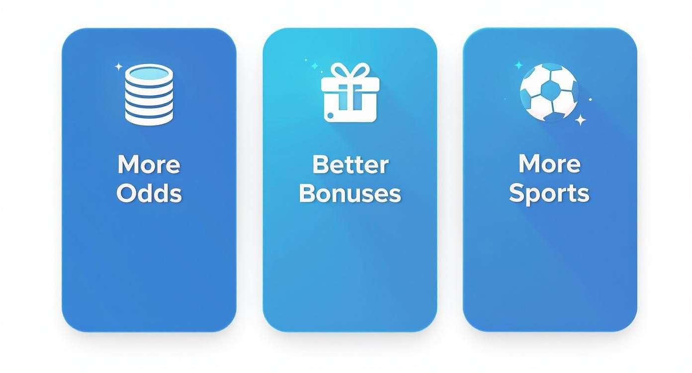 online sports betting in delaware: Your complete guide 2 Image of the BetUS sportsbook interface on a tablet, showing various sports betting options and promotions.