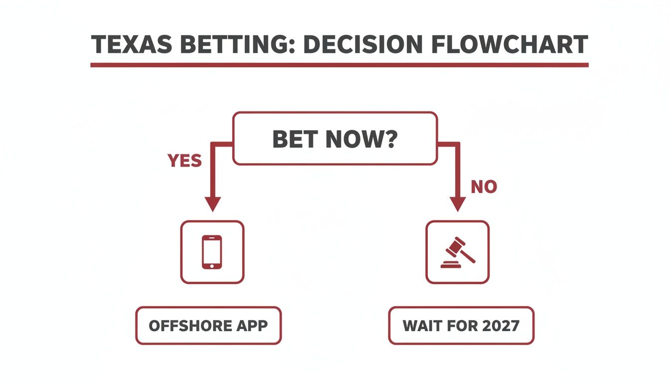 Texas betting decision flowchart showing options: use an offshore app now or wait until 2027 for legal betting.