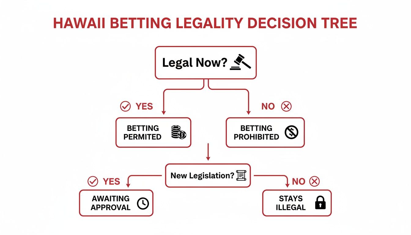 Flowchart illustrating Hawaii's betting legality decision process, including permitted, prohibited, and legislative approval stages.