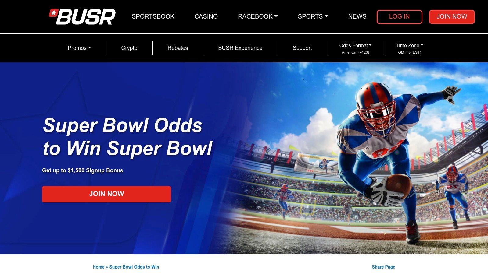 Top offshore betting apps super bowl: 12 picks for 2026 4 BUSR