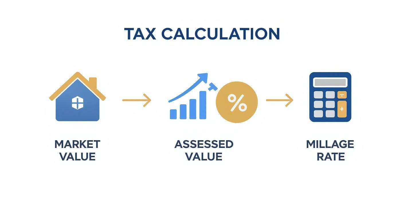 Diagram illustrating property tax calculation steps: Market Value, Assessed Value, and Millage Rate.