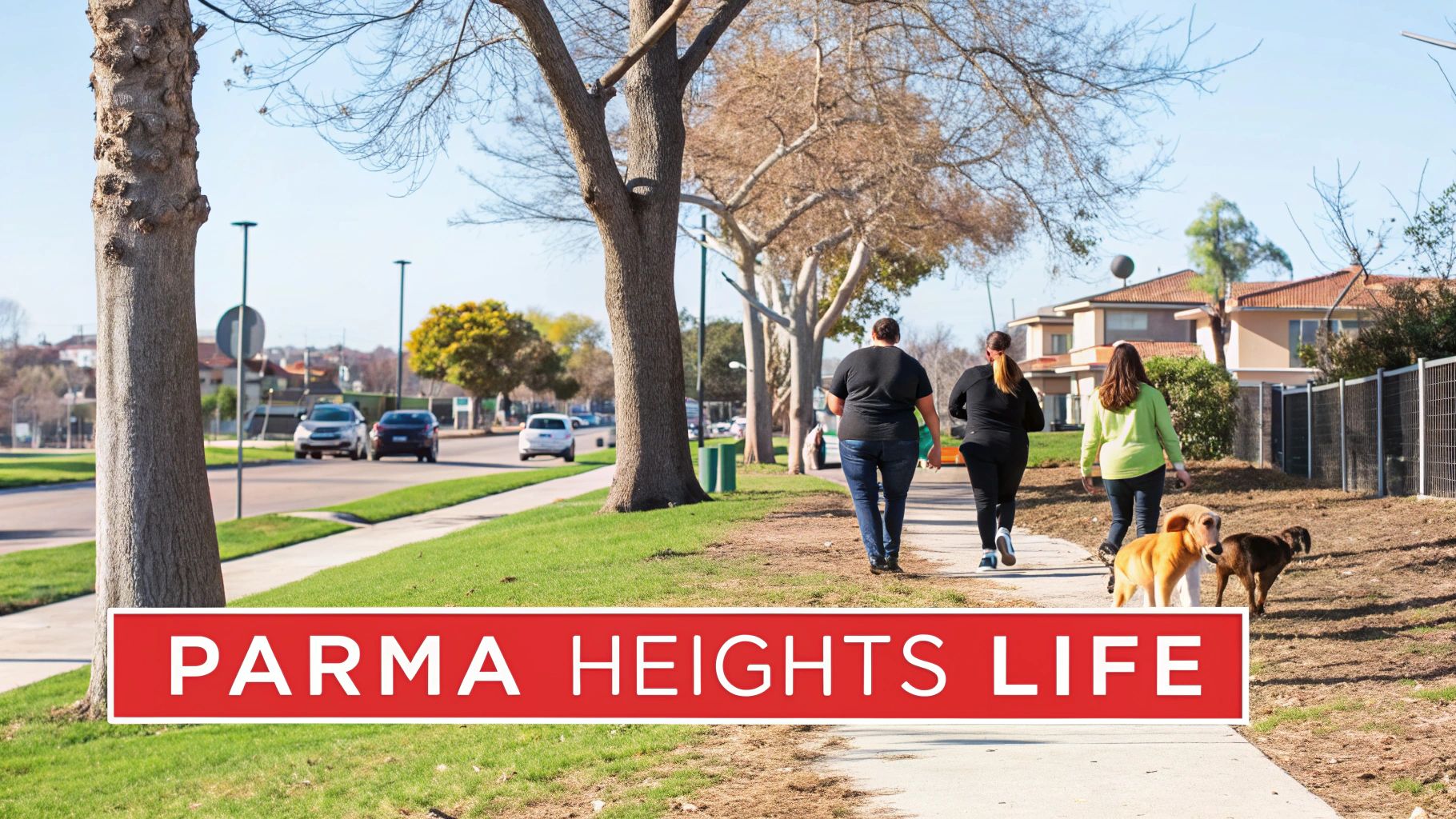 People walking dogs on a sunny sidewalk in a Parma Heights residential neighborhood.