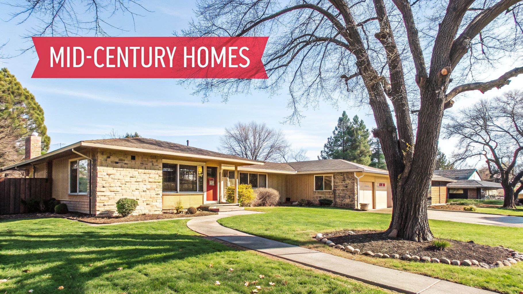 Front view of a beautiful mid-century ranch home with stone facade and large tree on a sunny day.