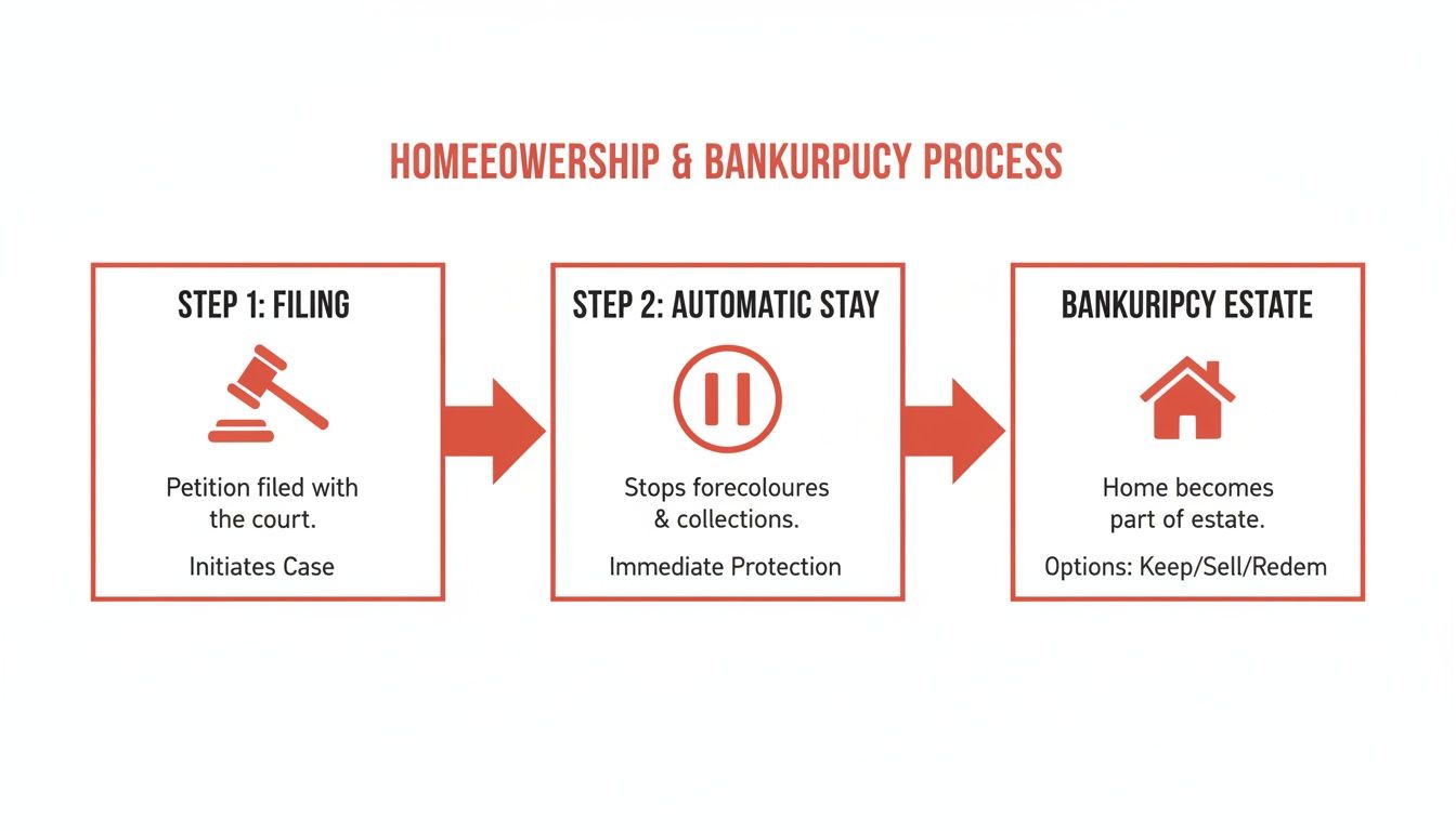 Infographic showing the three-step homeownership and bankruptcy process, covering filing, automatic stay, and estate options.