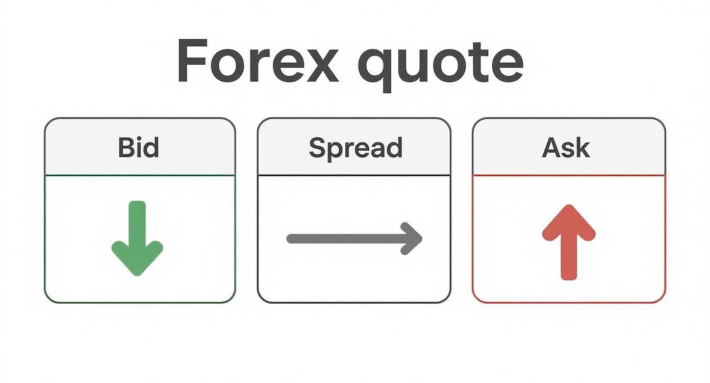 Infographic about forex currency rate today