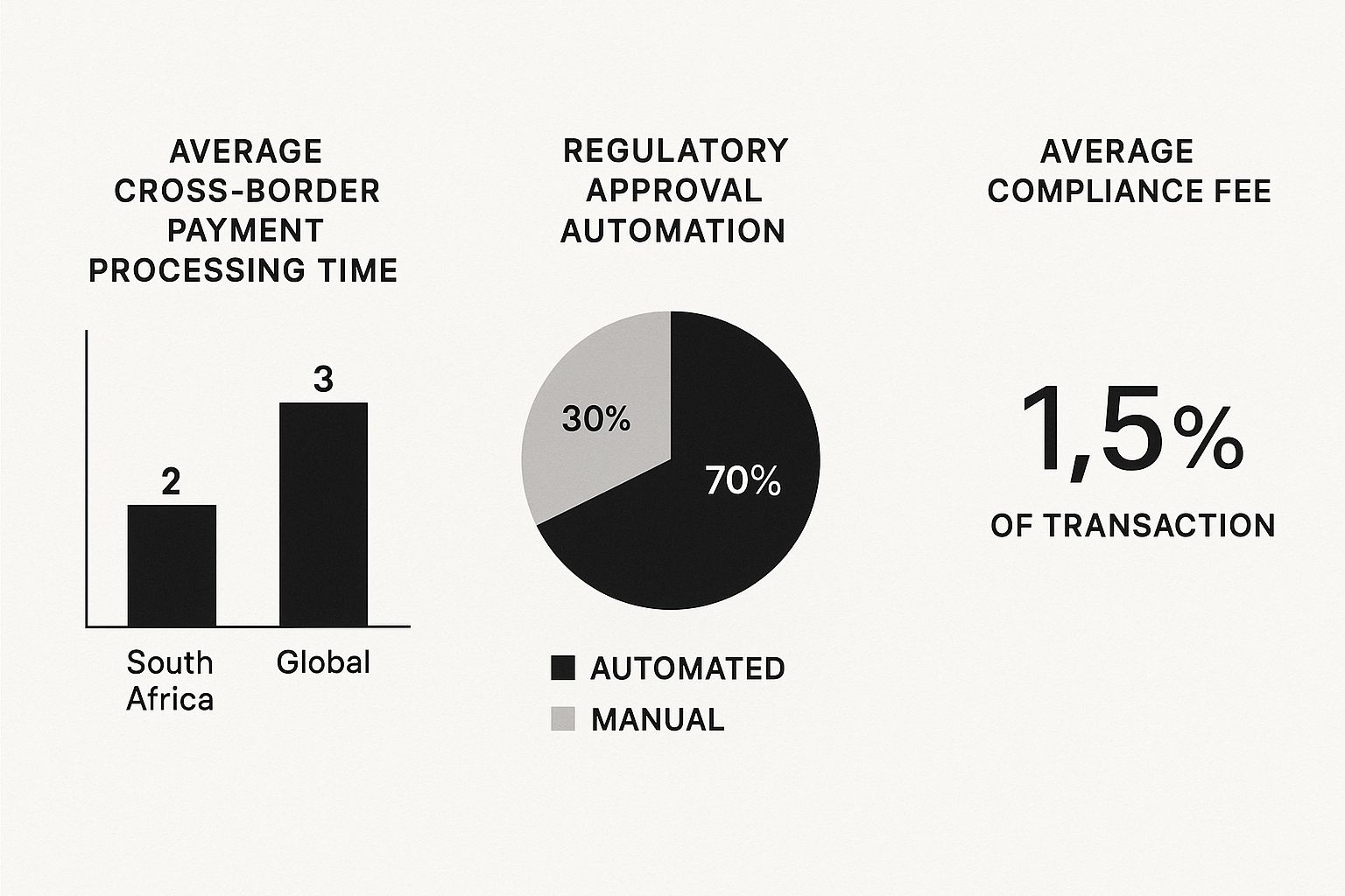 Infographic about cross border payments south africa