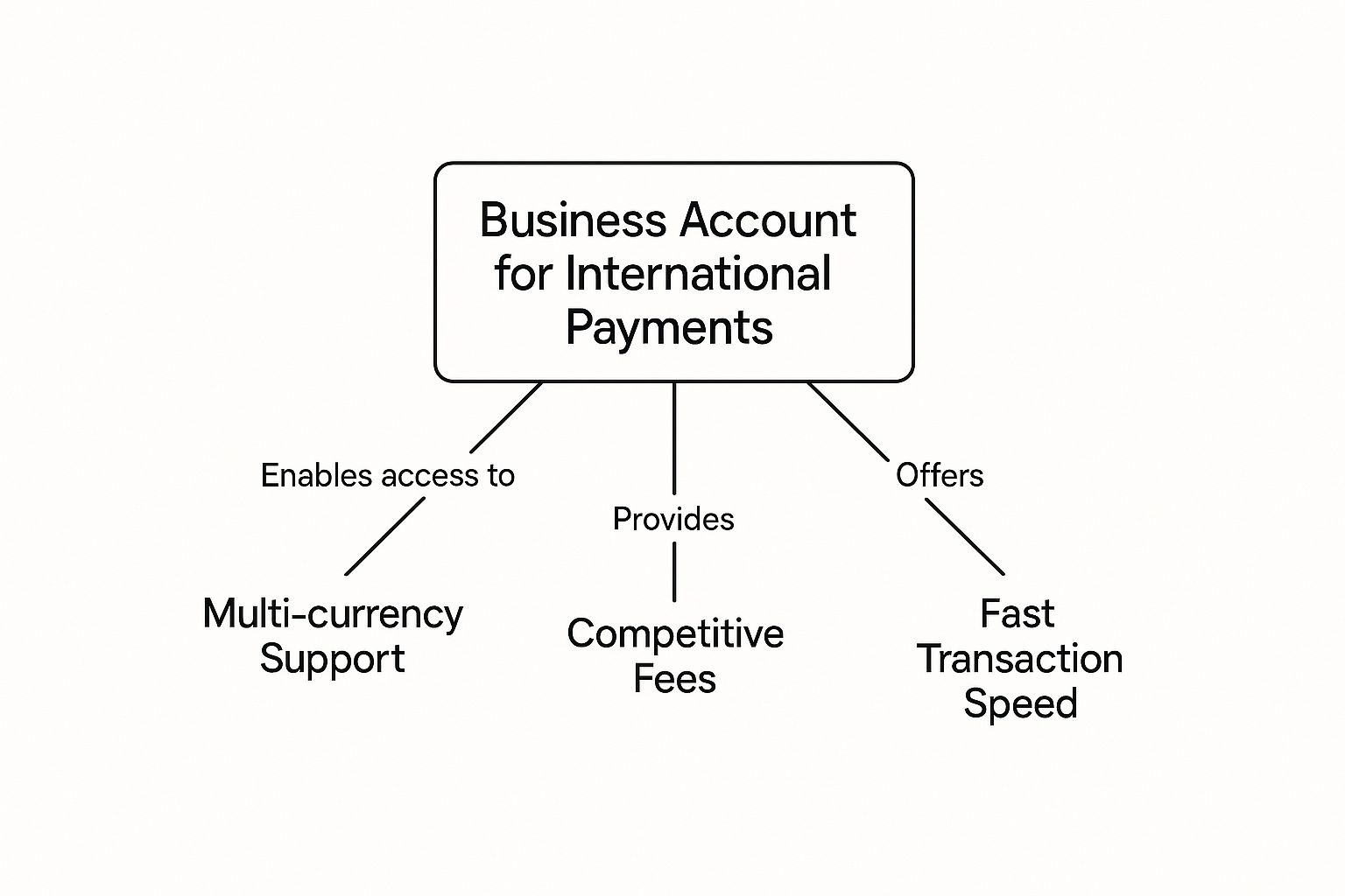 Infographic detailing the features of a business account for international payments