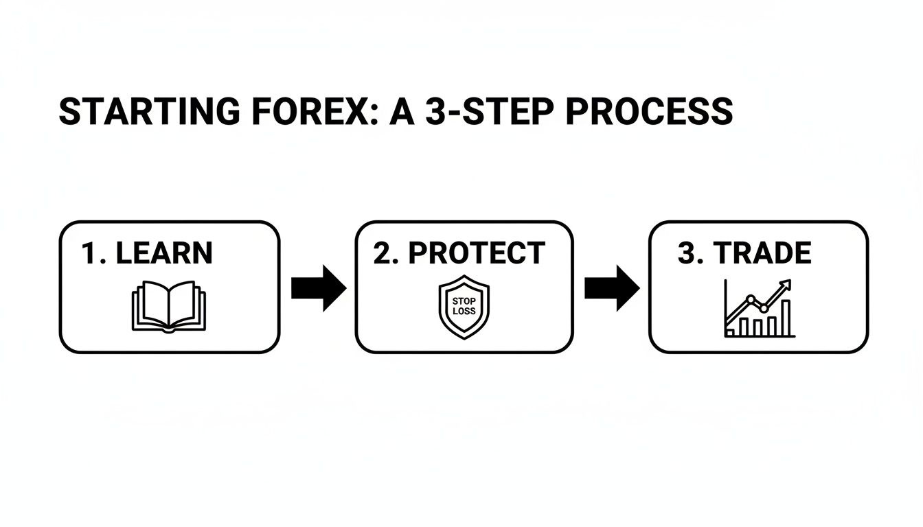 Flowchart outlining a 3-step process for starting Forex trading: learn, protect, and trade.