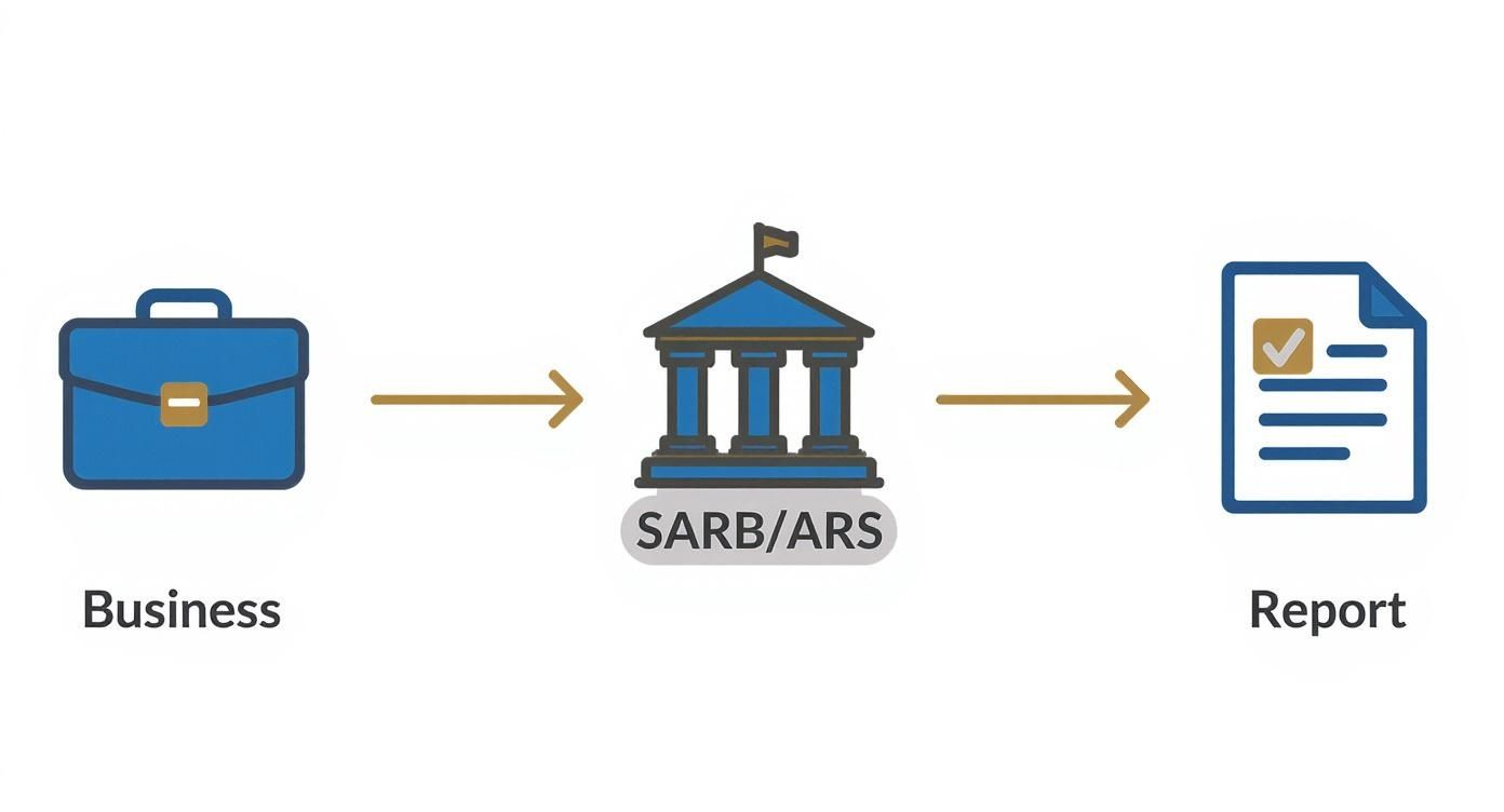 Infographic showing the process flow for forex compliance, from a business to SARB/SARS, to the final report.