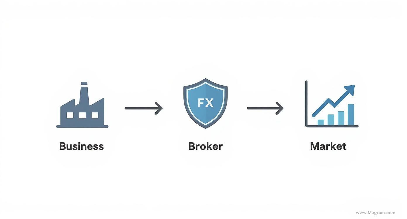 Infographic about fx margin call
