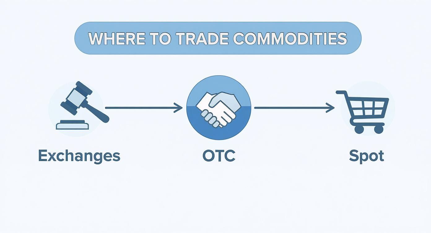 Flowchart illustrating the three main places to trade commodities: Exchanges, OTC, and Spot.