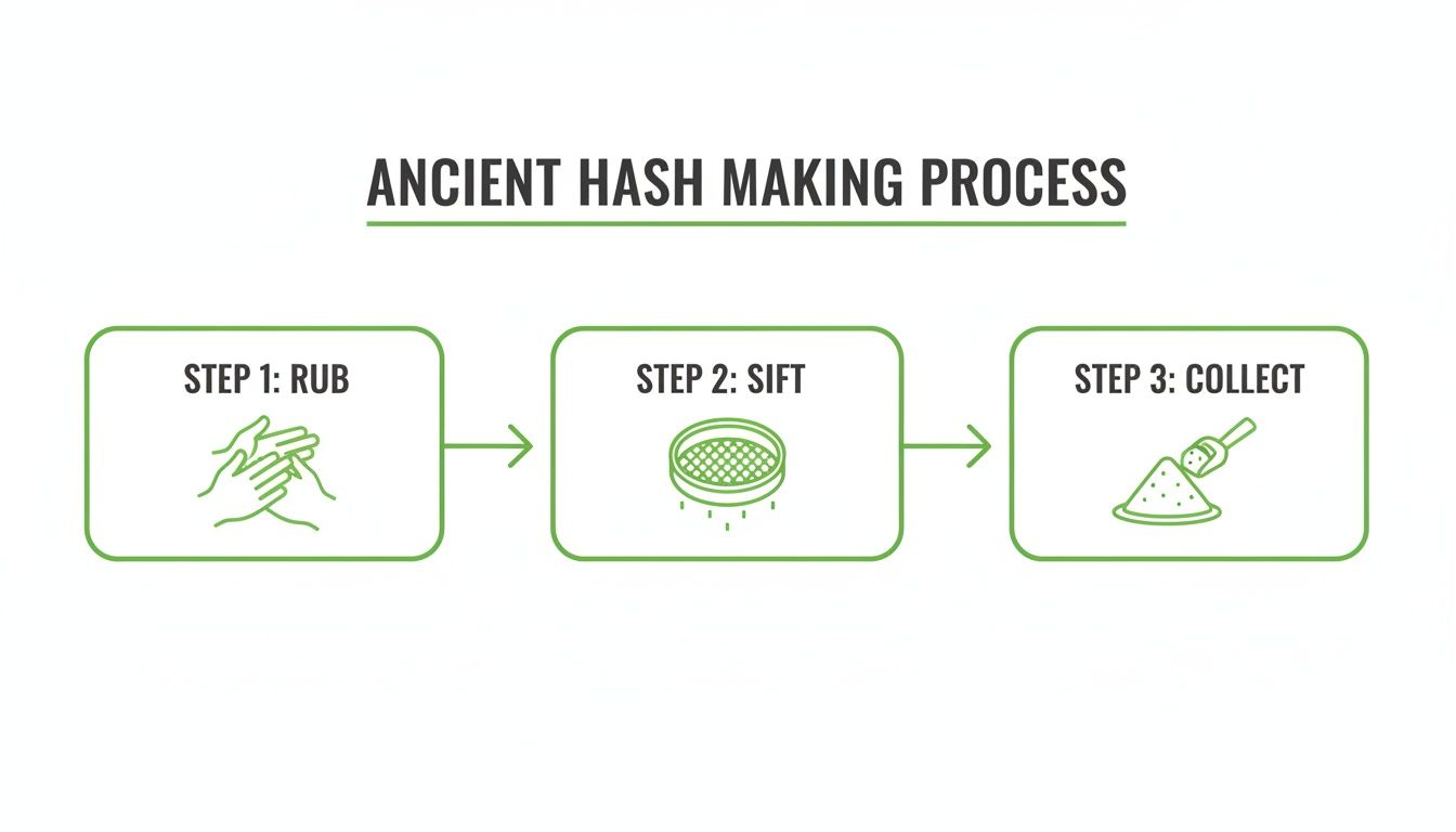 How Is Hash Made Unlocking the Secrets of Cannabis Concentrates