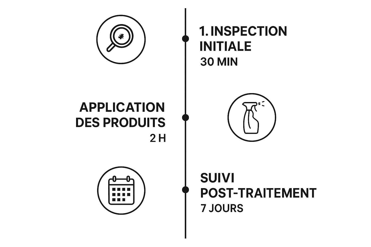 Infographic about désinsectisation cafard combien de temps