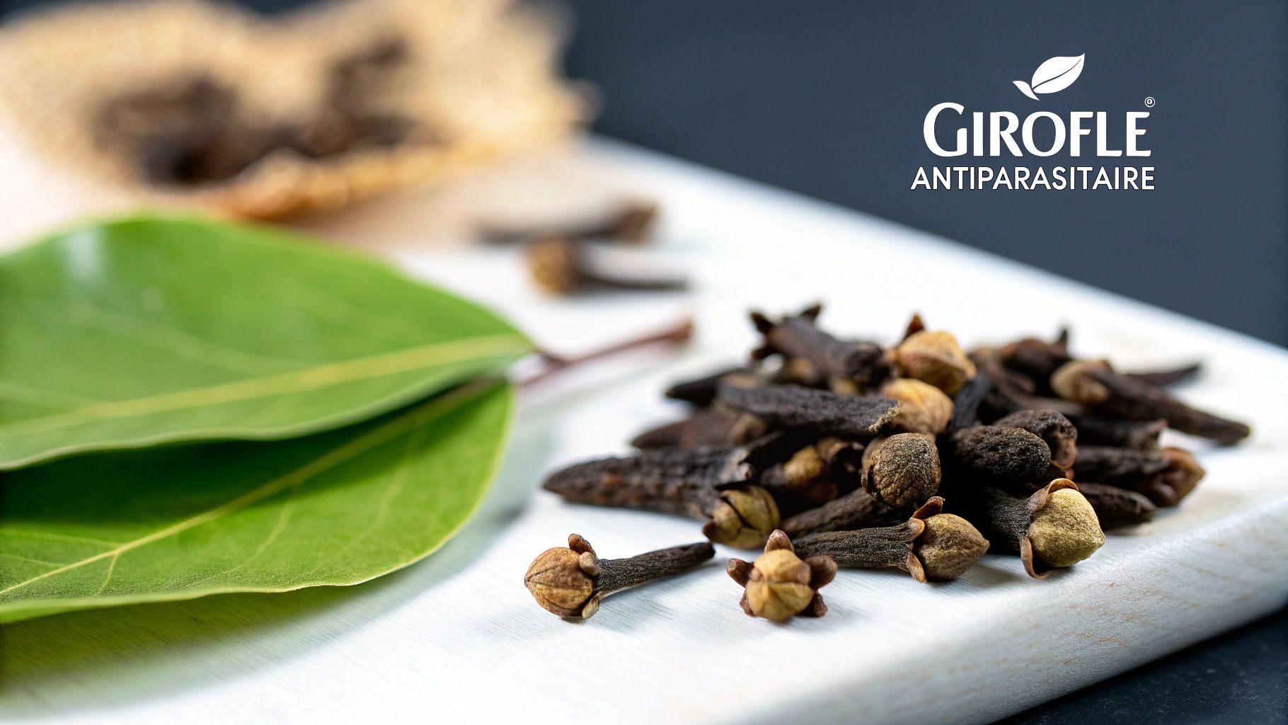 Clove (Syzygium aromaticum)