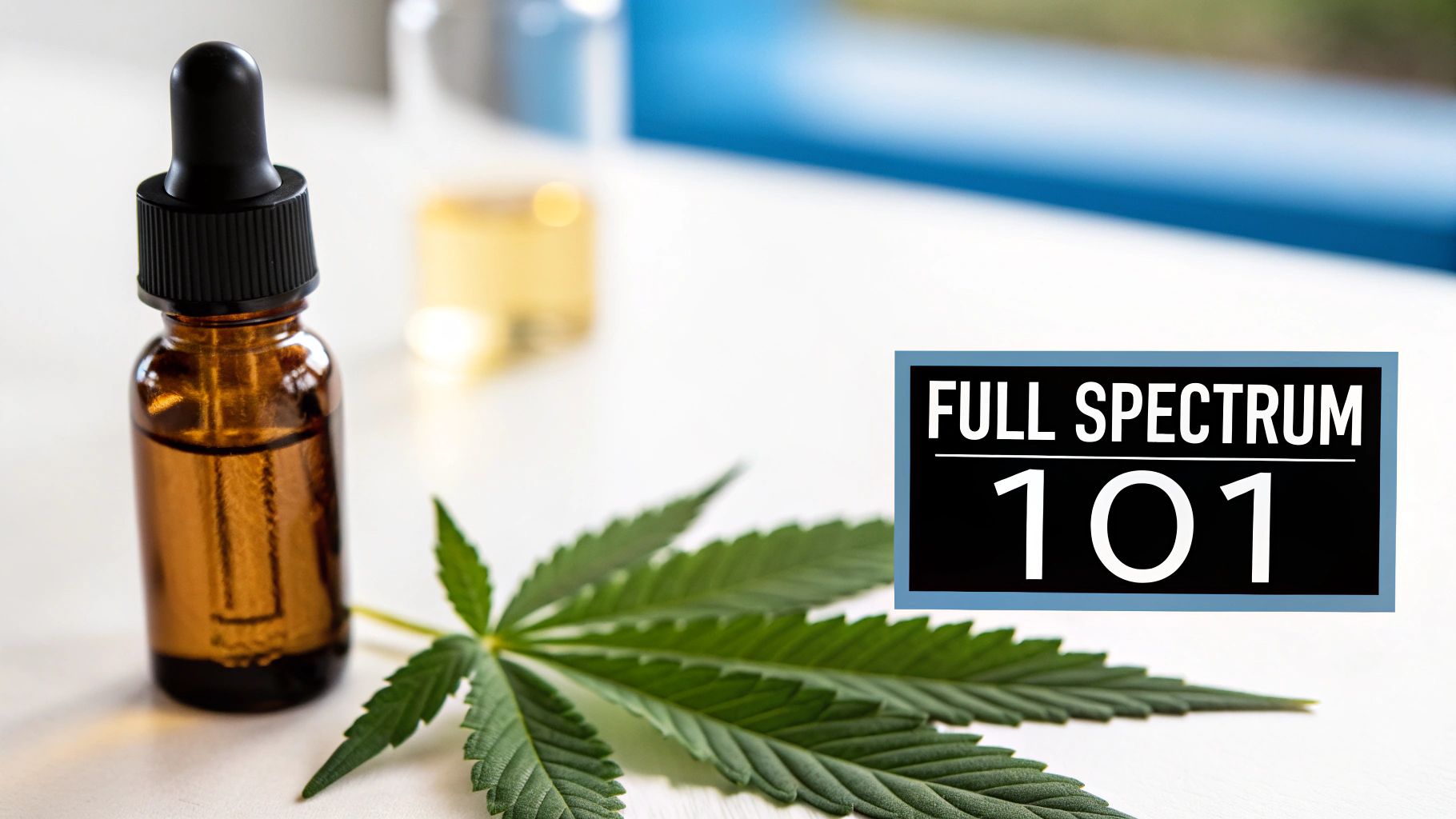 A full spectrum CBD oil dropper bottle and a cannabis leaf with 'FULL SPECTRUM 101' text.