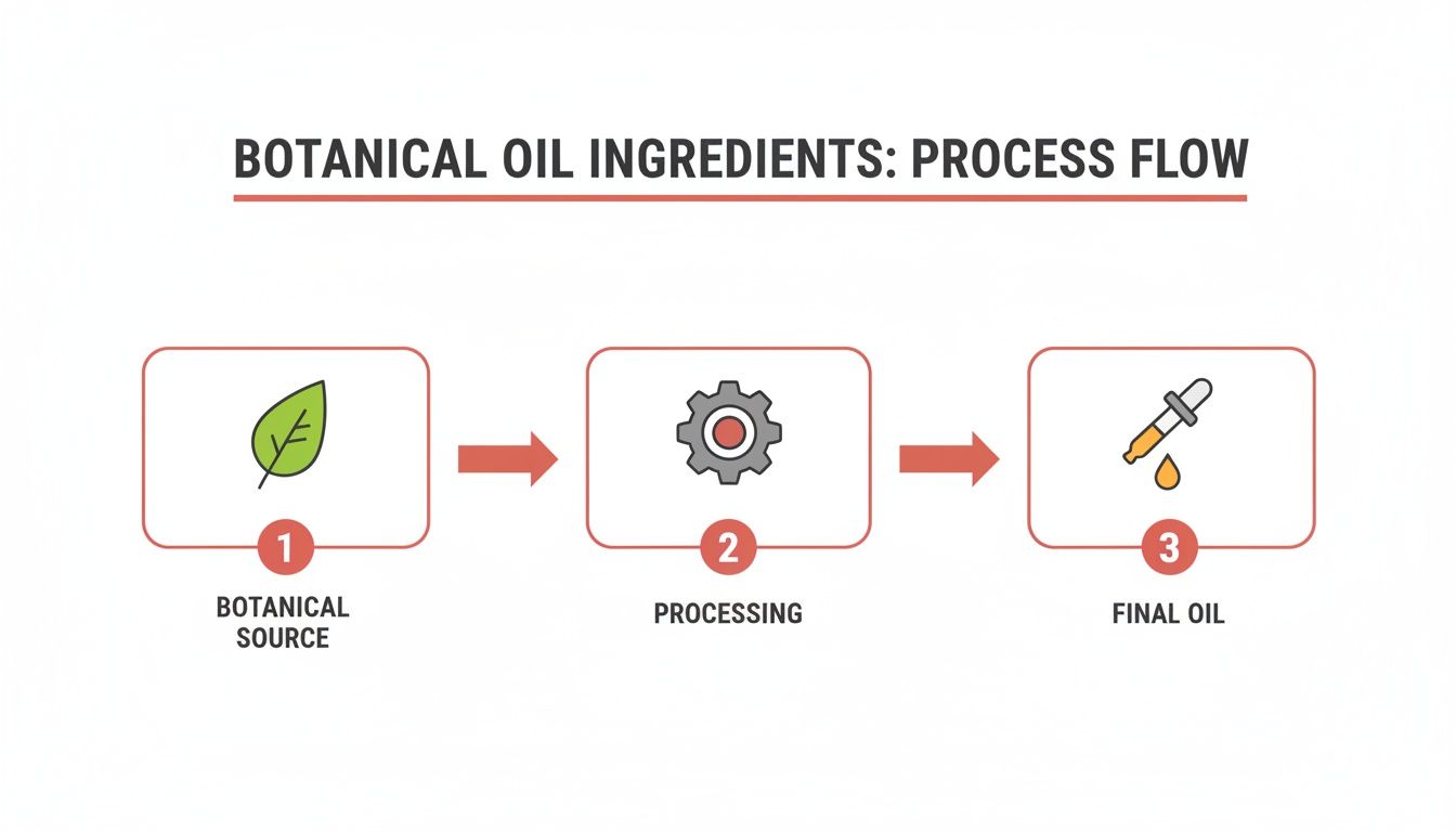 A process flow diagram illustrating the steps from botanical source to final oil ingredients.